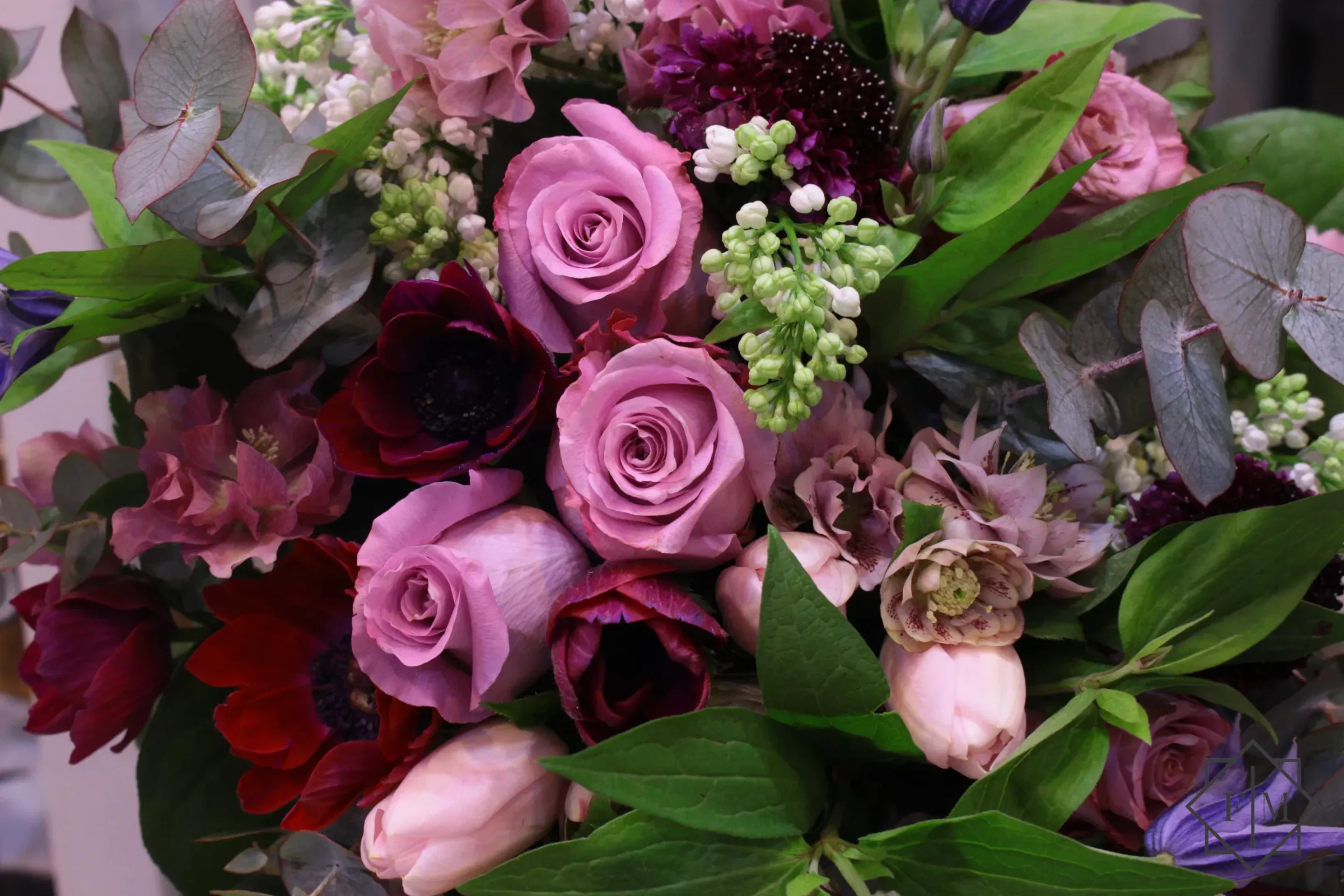 &Ouml;rd&ouml;gszem (Scabiosa)