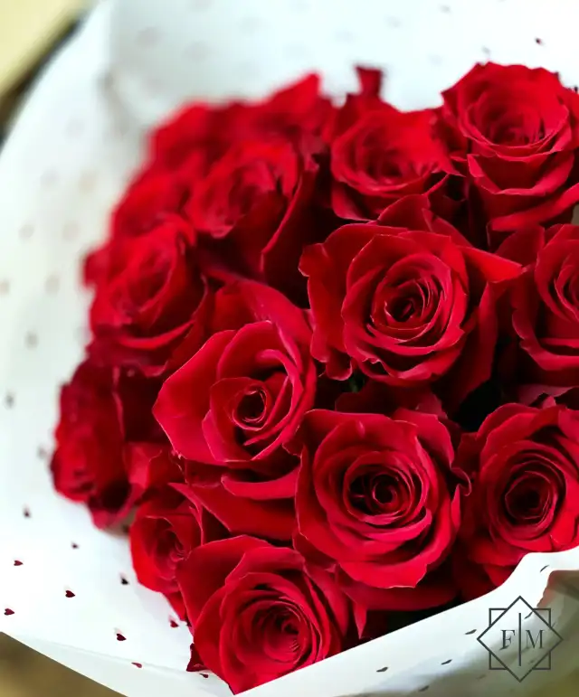 „Tizenöt indokom van bocsánatot kérni — egyszerűen hiányoztál. Bocsáss meg, kérlek.”