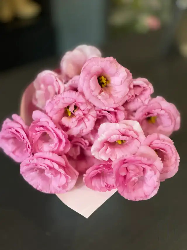 "Öt gyengéd érintés"